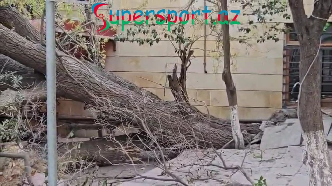 Yatmışları kimsə oyatsın - Video
