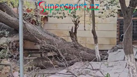 Yatmışları kimsə oyatsın - Video