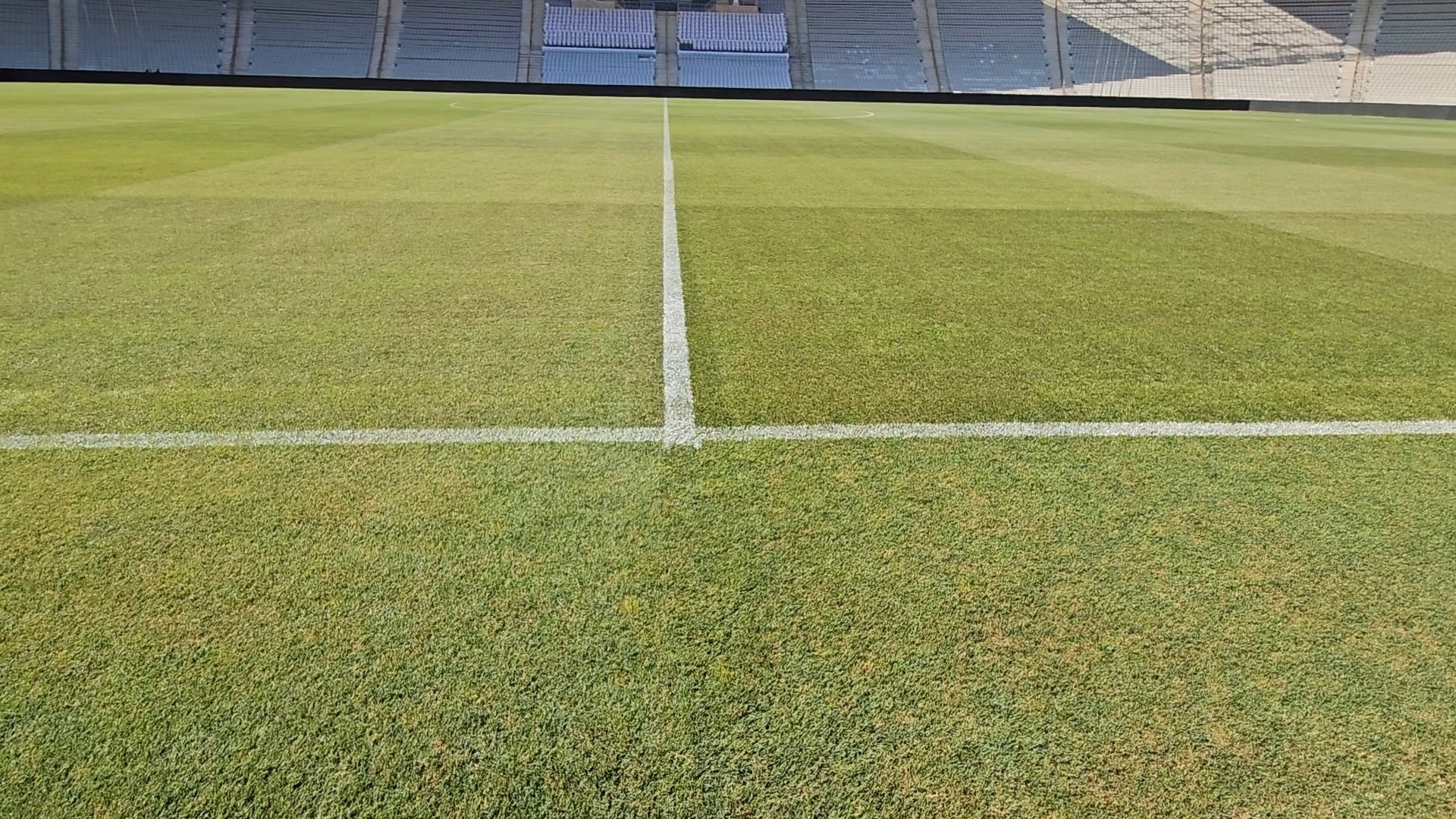 Eksklüziv: "Qarabağ" - "Şelburn" matçının stadionunda vəziyyət - Video